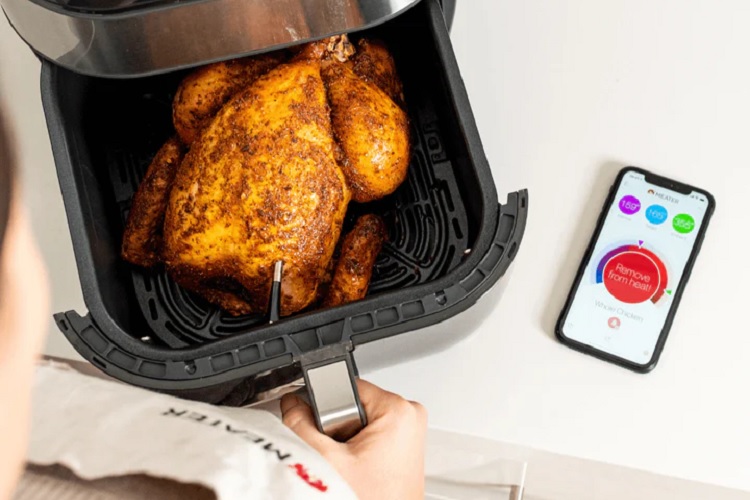 Best Wifi Meat Thermometer