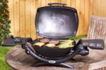 Best Portable Grill