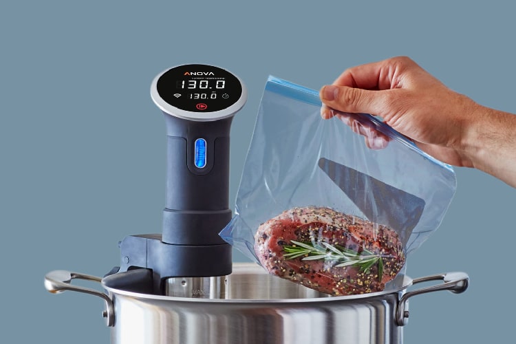 5 Best Sous Vide Cookers Reviewed for 2024